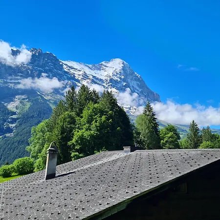 Gletscher - Boutique