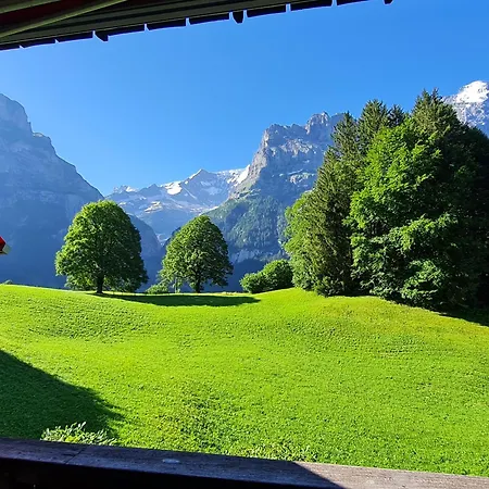 Abo - Boutique - Grindelwaldgletscher *