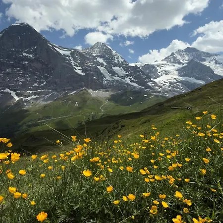 דירה Abo - Boutique - Grindelwaldgletscher *