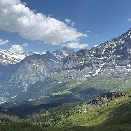 Abo - Boutique - Grindelwaldgletscher דירה גרינדלוולד