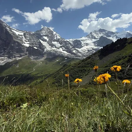 דירה Abo - Boutique - Grindelwaldgletscher