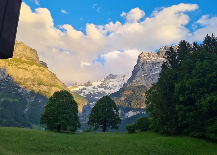 Abo - Boutique - Grindelwaldgletscher *