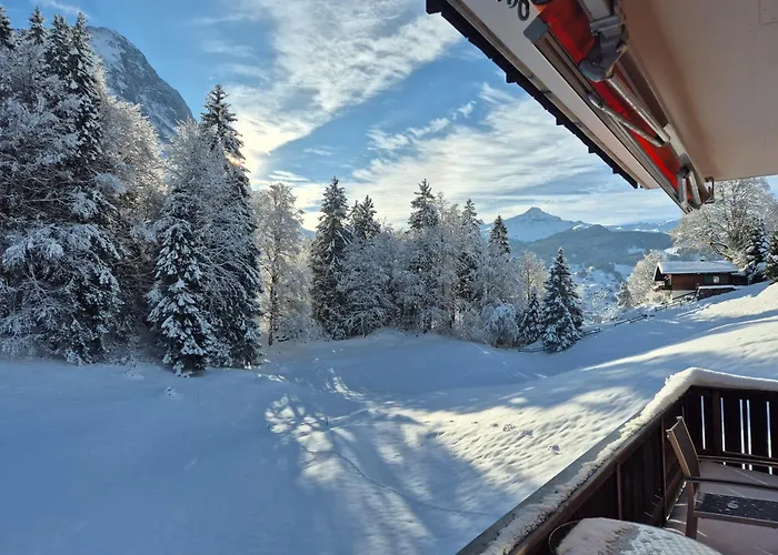 Abo - Boutique - Grindelwaldgletscher Apartamento *