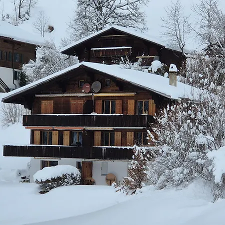 Gletscher - Boutique *