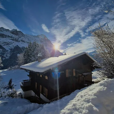 Abo - Boutique - Grindelwaldgletscher جريندلوالد